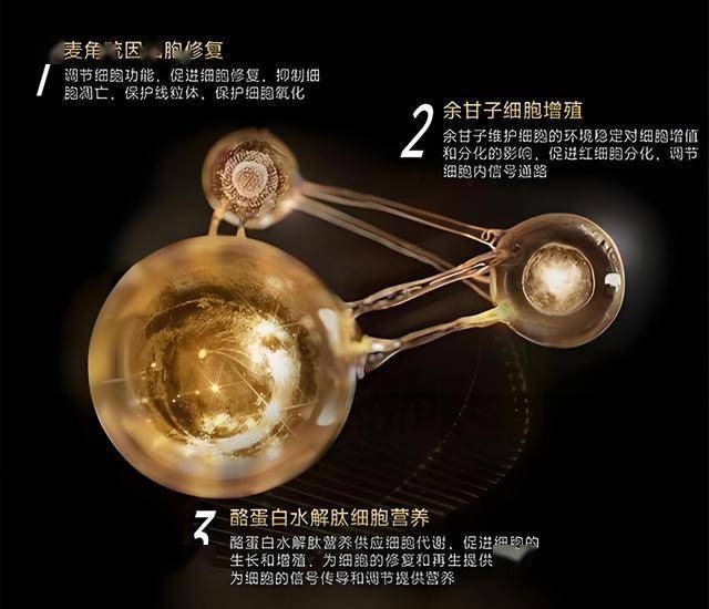xm外汇官网网址是多少xm外汇交易平台到底藏着怎样的赚钱秘籍？来看看吧！